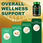 Liposomal NAD+ Complex 300mg – With Urolithin-A & CoQ10 | Cellular Energy & DNA Support | 60 Capsules