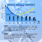 NMN 250mg – 5-in-1 NAD+ Complex | Resveratrol, TMG & CoQ10 | Anti-Aging Support | 60 Capsules