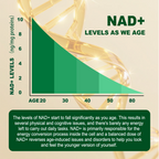Liposomal NAD+ Complex 300mg – With Urolithin-A & CoQ10 | Cellular Energy & DNA Support | 60 Capsules