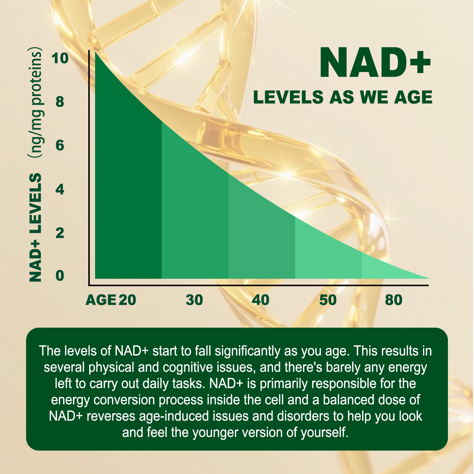 Liposomal NAD+ Complex 300mg – With Urolithin-A & CoQ10 | Cellular Energy & DNA Support | 60 Capsules
