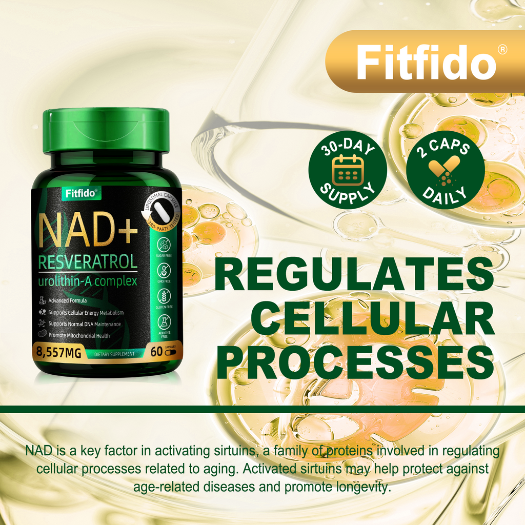 Liposomal NAD+ Complex 300mg – With Urolithin-A & CoQ10 | Cellular Energy & DNA Support | 60 Capsules