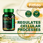 Liposomal NAD+ Complex 300mg – With Urolithin-A & CoQ10 | Cellular Energy & DNA Support | 60 Capsules