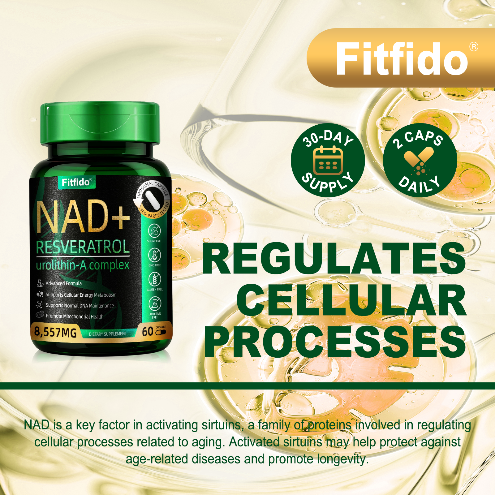 Liposomal NAD+ Complex 300mg – With Urolithin-A & CoQ10 | Cellular Energy & DNA Support | 60 Capsules